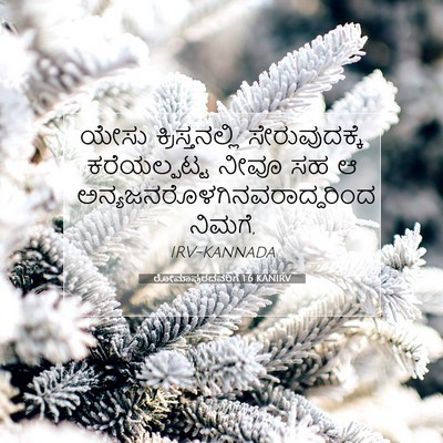 Picture 07 - ರೋಮಾಪುರದವರಿಗೆ 1:6 KANIRV - ಯೇಸು ಕ್ರಿಸ್ತನಲ್ಲಿ - Bible Verse Picture