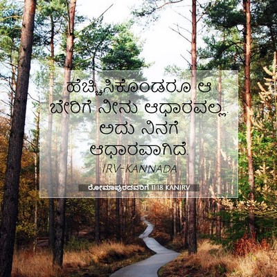 Picture 07 - ರೋಮಾಪುರದವರಿಗೆ 11:18 KANIRV - ಹೆಚ್ಚಿಸಿಕೊಂಡರೂ ಆ - Bible Verse Picture