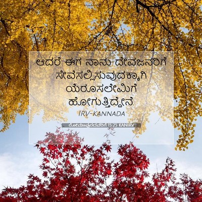 Picture 07 - ರೋಮಾಪುರದವರಿಗೆ 15:25 KANIRV - ಆದರೆ ಈಗ ನಾನು - Bible Verse Picture