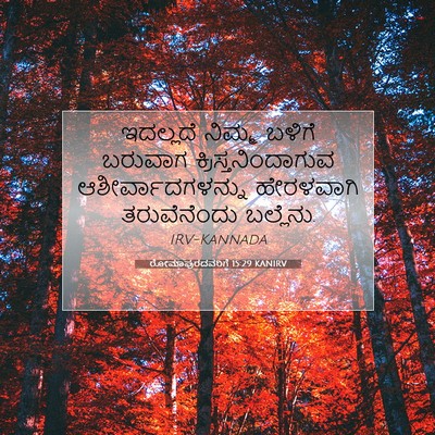 Picture 07 - ರೋಮಾಪುರದವರಿಗೆ 15:29 KANIRV - ಇದಲ್ಲದೆ ನಿಮ್ಮ - Bible Verse Picture