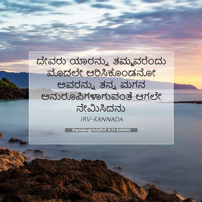 Picture 07 - ರೋಮಾಪುರದವರಿಗೆ 8:29 KANIRV - ದೇವರು ಯಾರನ್ನು - Bible Verse Picture