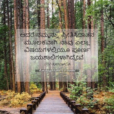 Picture 07 - ರೋಮಾಪುರದವರಿಗೆ 8:37 KANIRV - ಆದರೆ ನಮ್ಮನ್ನು - Bible Verse Picture