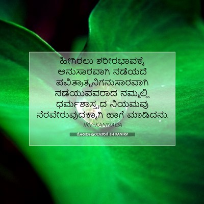 Picture 07 - ರೋಮಾಪುರದವರಿಗೆ 8:4 KANIRV - ಹೀಗಿರಲು - Bible Verse Picture