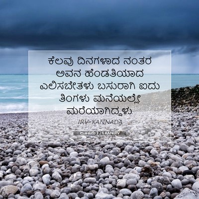 Picture 07 - ಲೂಕನು 1:24 KANIRV - ಕೆಲವು ದಿನಗಳಾದ - Bible Verse Picture