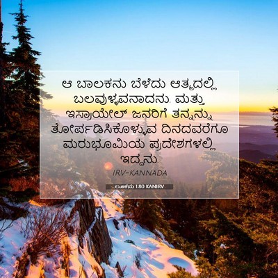 Picture 07 - ಲೂಕನು 1:80 KANIRV - ಆ ಬಾಲಕನು ಬೆಳೆದು - Bible Verse Picture