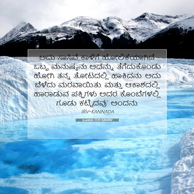 Picture 07 - ಲೂಕನು 13:19 KANIRV - ಅದು ಸಾಸಿವೆ ಕಾಳಿಗೆ - Bible Verse Picture