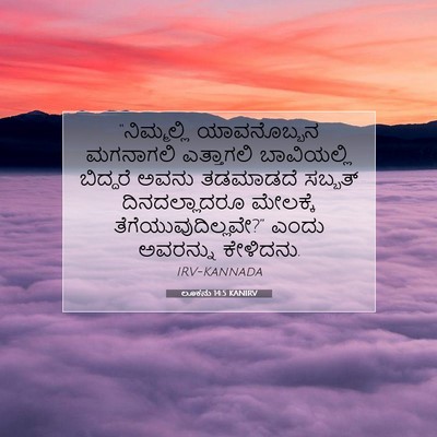 Picture 07 - ಲೂಕನು 14:5 KANIRV - “ನಿಮ್ಮಲ್ಲಿ - Bible Verse Picture