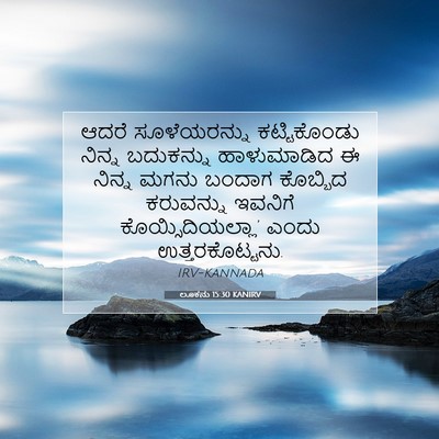 Picture 07 - ಲೂಕನು 15:30 KANIRV - ಆದರೆ ಸೂಳೆಯರನ್ನು - Bible Verse Picture