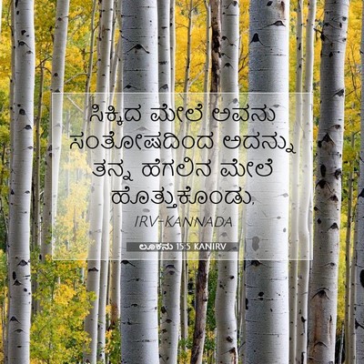 Picture 07 - ಲೂಕನು 15:5 KANIRV - ಸಿಕ್ಕಿದ ಮೇಲೆ ಅವನು - Bible Verse Picture