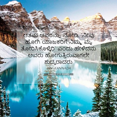 Picture 07 - ಲೂಕನು 17:14 KANIRV - ಆತನು ಅವರನ್ನು ನೋಡಿ, - Bible Verse Picture