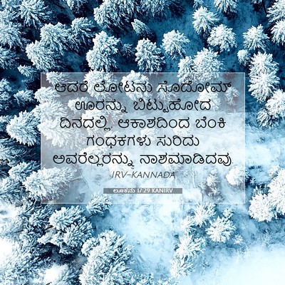 Picture 07 - ಲೂಕನು 17:29 KANIRV - ಆದರೆ ಲೋಟನು ಸೊದೋಮ್ - Bible Verse Picture