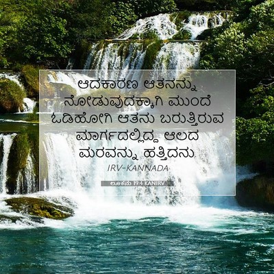 Picture 07 - ಲೂಕನು 19:4 KANIRV - ಆದಕಾರಣ ಆತನನ್ನು - Bible Verse Picture