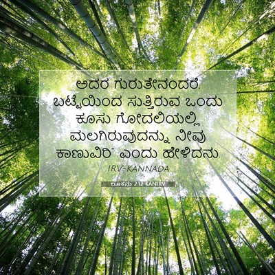 Picture 07 - ಲೂಕನು 2:12 KANIRV - ಅದರ ಗುರುತೇನಂದರೆ, - Bible Verse Picture