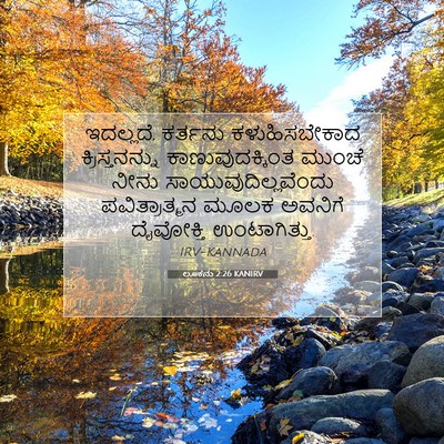 Picture 07 - ಲೂಕನು 2:26 KANIRV - ಇದಲ್ಲದೆ, ಕರ್ತನು - Bible Verse Picture