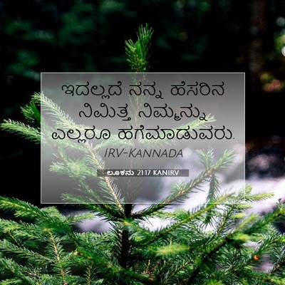 Picture 07 - ಲೂಕನು 21:17 KANIRV - ಇದಲ್ಲದೆ ನನ್ನ - Bible Verse Picture