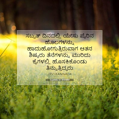 Picture 07 - ಲೂಕನು 6:1 KANIRV - ಸಬ್ಬತ್ ದಿನದಲ್ಲಿ - Bible Verse Picture