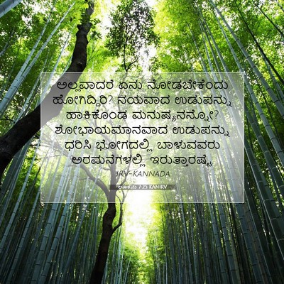 Picture 07 - ಲೂಕನು 7:25 KANIRV - ಅಲ್ಲವಾದರೆ ಏನು - Bible Verse Picture