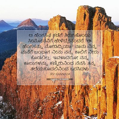 Picture 07 - ಲೂಕನು 7:44 KANIRV - ಆ ಹೆಂಗಸಿನ ಕಡೆಗೆ - Bible Verse Picture