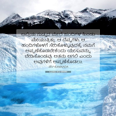 Picture 07 - ಲೂಕನು 8:32 KANIRV - ಅಲ್ಲಿಯ ಗುಡ್ಡದ - Bible Verse Picture