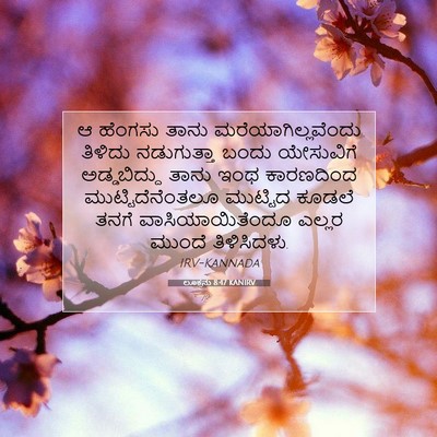Picture 07 - ಲೂಕನು 8:47 KANIRV - ಆ ಹೆಂಗಸು ತಾನು - Bible Verse Picture