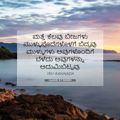 Picture 07 - ಲೂಕನು 8:7 KANIRV - ಮತ್ತೆ ಕೆಲವು - Bible Verse Picture
