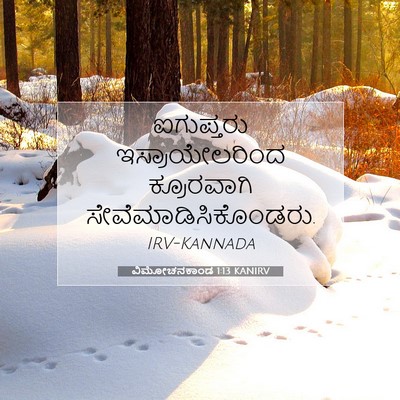 Picture 07 - ವಿಮೋಚನಕಾಂಡ 1:13 KANIRV - ಐಗುಪ್ತರು - Bible Verse Picture