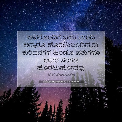 Picture 07 - ವಿಮೋಚನಕಾಂಡ 12:38 KANIRV - ಅವರೊಂದಿಗೆ ಬಹು - Bible Verse Picture