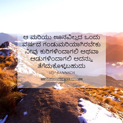 Picture 07 - ವಿಮೋಚನಕಾಂಡ 12:5 KANIRV - ಆ ಮರಿಯು ಊನವಿಲ್ಲದ - Bible Verse Picture