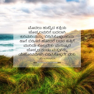 Picture 07 - ವಿಮೋಚನಕಾಂಡ 13:13 KANIRV - ಮೊದಲು ಹುಟ್ಟಿದ - Bible Verse Picture