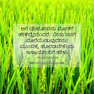 Picture 07 - ವಿಮೋಚನಕಾಂಡ 14:15 KANIRV - ಆಗ ಯೆಹೋವನು ಮೋಶೆಗೆ - Bible Verse Picture