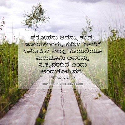 Picture 07 - ವಿಮೋಚನಕಾಂಡ 14:3 KANIRV - ಫರೋಹನು ಅದನ್ನು - Bible Verse Picture