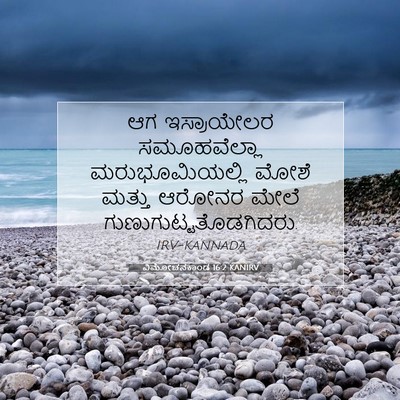 Picture 07 - ವಿಮೋಚನಕಾಂಡ 16:2 KANIRV - ಆಗ ಇಸ್ರಾಯೇಲರ - Bible Verse Picture
