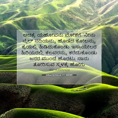 Picture 07 - ವಿಮೋಚನಕಾಂಡ 17:5 KANIRV - ಅದಕ್ಕೆ ಯೆಹೋವನು - Bible Verse Picture