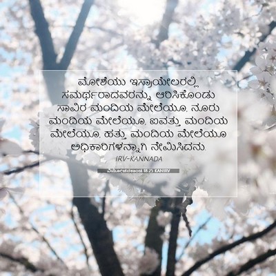 Picture 07 - ವಿಮೋಚನಕಾಂಡ 18:25 KANIRV - ಮೋಶೆಯು - Bible Verse Picture