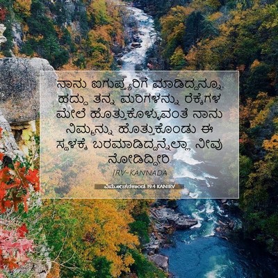 Picture 07 - ವಿಮೋಚನಕಾಂಡ 19:4 KANIRV - ‘ನಾನು - Bible Verse Picture