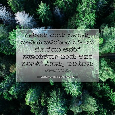 Picture 07 - ವಿಮೋಚನಕಾಂಡ 2:17 KANIRV - ಕುರುಬರು ಬಂದು - Bible Verse Picture