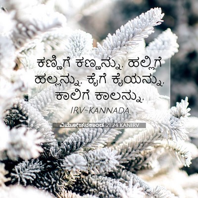 Picture 07 - ವಿಮೋಚನಕಾಂಡ 21:24 KANIRV - ಕಣ್ಣಿಗೆ ಕಣ್ಣನ್ನು, - Bible Verse Picture