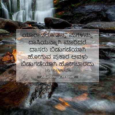 Picture 07 - ವಿಮೋಚನಕಾಂಡ 21:7 KANIRV - ಯಾರಾದರೂ ತನ್ನ - Bible Verse Picture