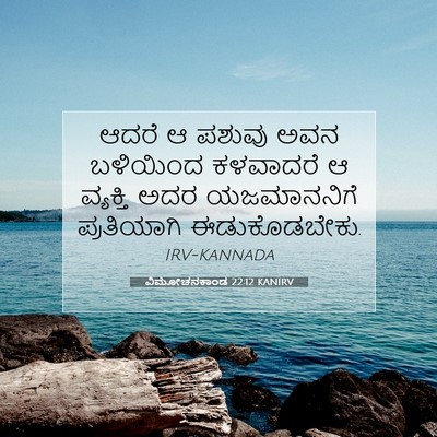 Picture 07 - ವಿಮೋಚನಕಾಂಡ 22:12 KANIRV - ಆದರೆ ಆ ಪಶುವು ಅವನ - Bible Verse Picture
