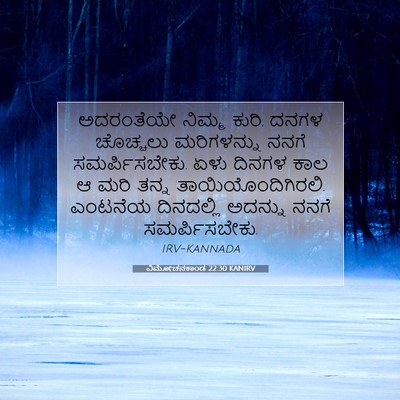 Picture 07 - ವಿಮೋಚನಕಾಂಡ 22:30 KANIRV - ಅದರಂತೆಯೇ ನಿಮ್ಮ - Bible Verse Picture