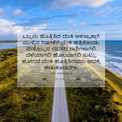 Picture 07 - ವಿಮೋಚನಕಾಂಡ 22:6 KANIRV - ಒಬ್ಬನು ಹೊತ್ತಿಸಿದ - Bible Verse Picture