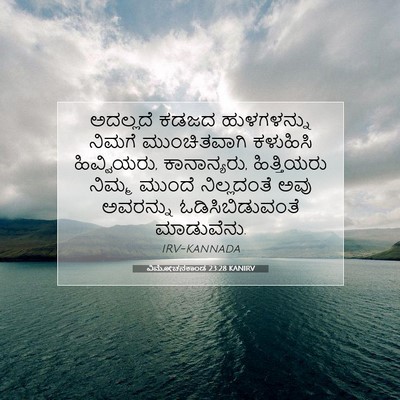 Picture 07 - ವಿಮೋಚನಕಾಂಡ 23:28 KANIRV - ಅದಲ್ಲದೆ ಕಡಜದ - Bible Verse Picture