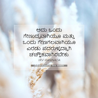 Picture 07 - ವಿಮೋಚನಕಾಂಡ 28:16 KANIRV - ಅದು ಒಂದು - Bible Verse Picture