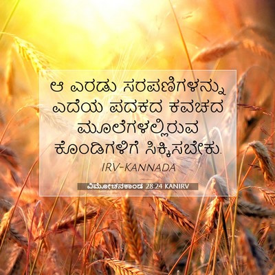 Picture 07 - ವಿಮೋಚನಕಾಂಡ 28:24 KANIRV - ಆ ಎರಡು - Bible Verse Picture