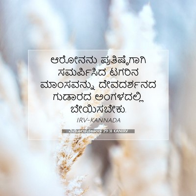 Picture 07 - ವಿಮೋಚನಕಾಂಡ 29:31 KANIRV - ಆರೋನನು - Bible Verse Picture