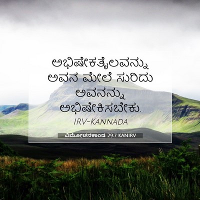 Picture 07 - ವಿಮೋಚನಕಾಂಡ 29:7 KANIRV - ಅಭಿಷೇಕತೈಲವನ್ನು - Bible Verse Picture