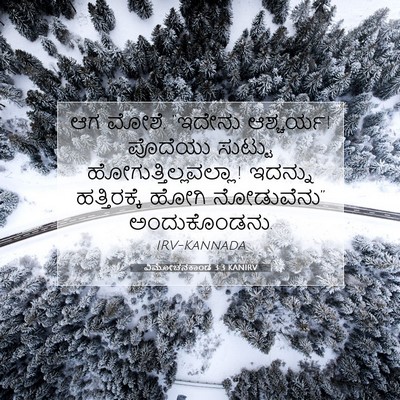 Picture 07 - ವಿಮೋಚನಕಾಂಡ 3:3 KANIRV - ಆಗ ಮೋಶೆ, “ಇದೇನು - Bible Verse Picture