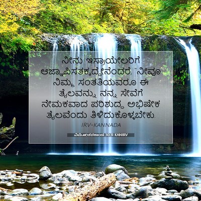 Picture 07 - ವಿಮೋಚನಕಾಂಡ 30:31 KANIRV - ನೀನು ಇಸ್ರಾಯೇಲರಿಗೆ - Bible Verse Picture