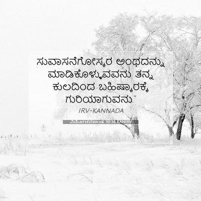 Picture 07 - ವಿಮೋಚನಕಾಂಡ 30:38 KANIRV - ಸುವಾಸನೆಗೋಸ್ಕರ - Bible Verse Picture