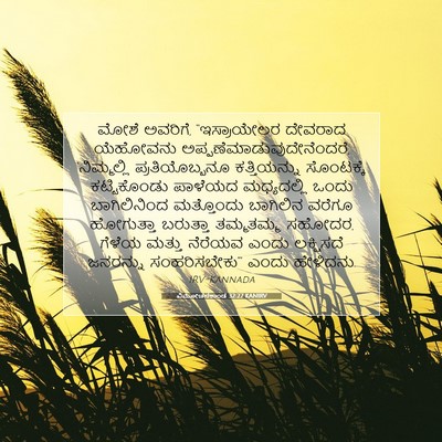Picture 07 - ವಿಮೋಚನಕಾಂಡ 32:27 KANIRV - ಮೋಶೆ ಅವರಿಗೆ, - Bible Verse Picture